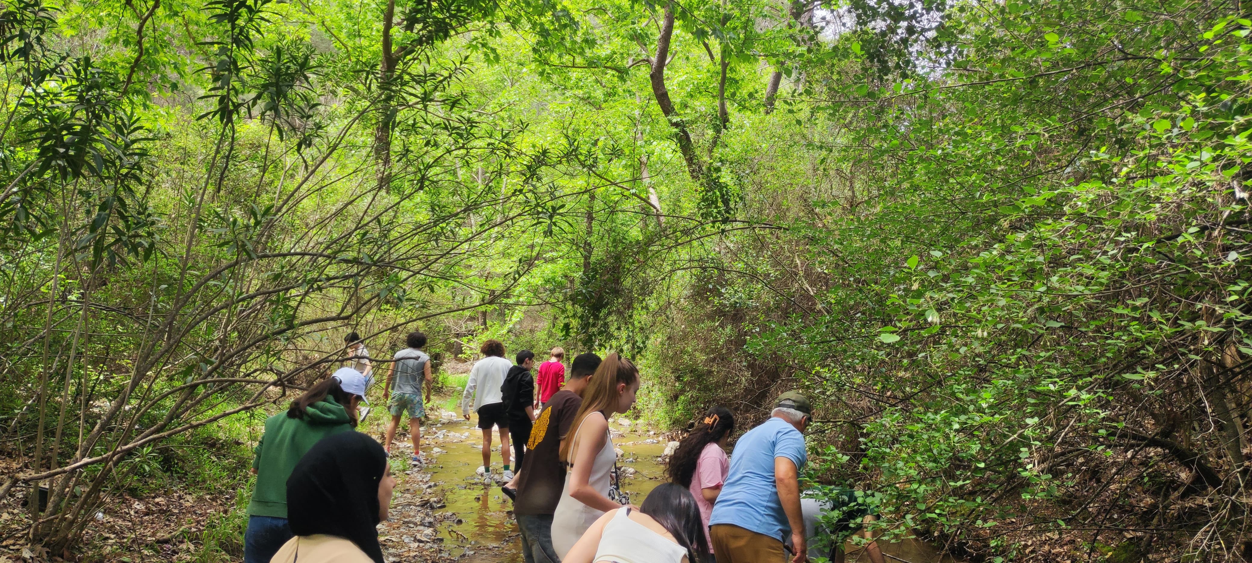 Teenagers in Action for Green Practices: A Transformative Erasmus+ Youth Exchange in Fethiye